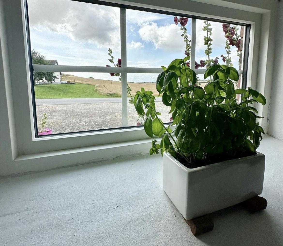 Lilla Stenhuset Ystad Bagian luar foto